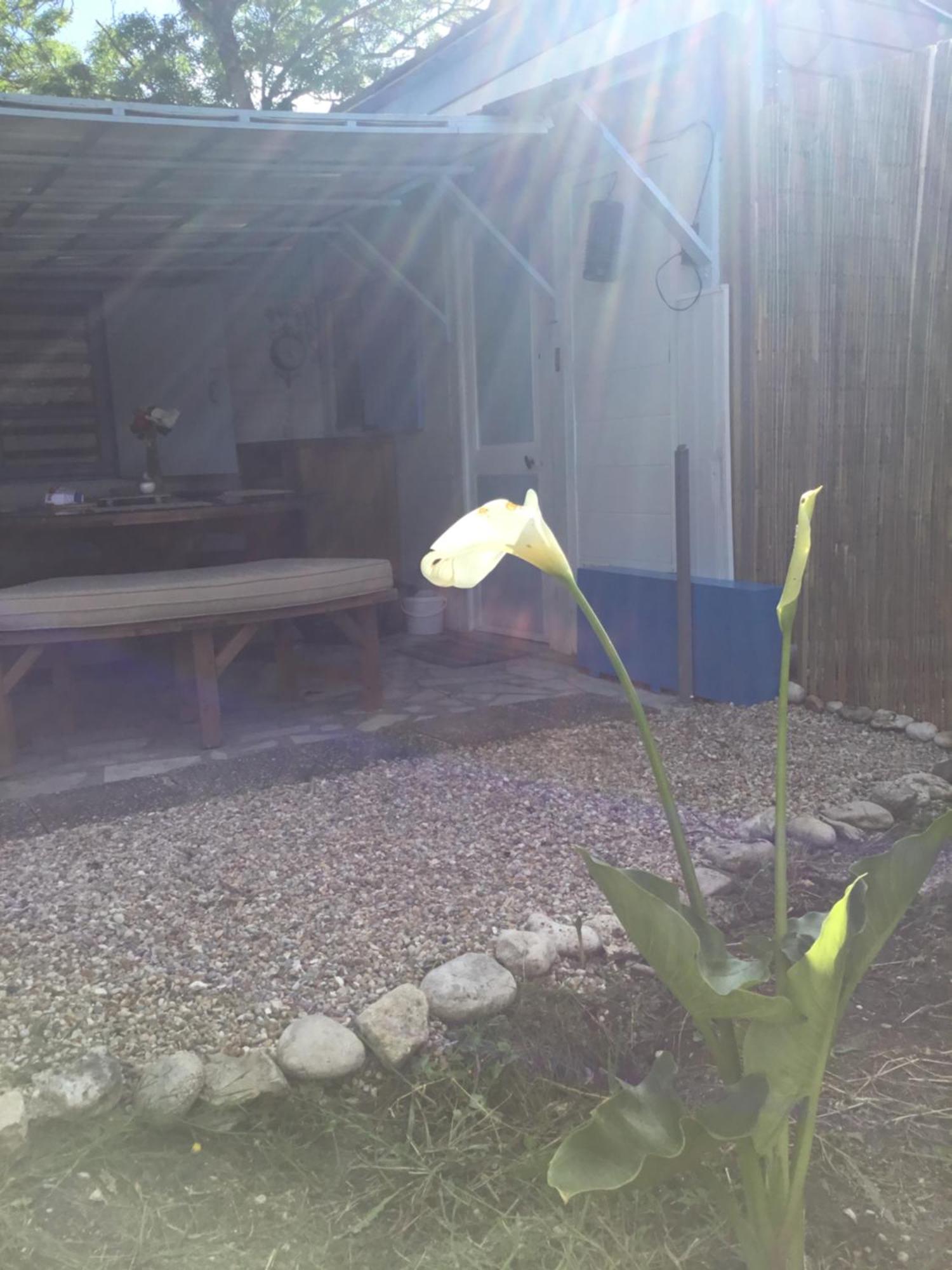 La Cabane Oleronnaise Saint-Georges-d'Oleron Εξωτερικό φωτογραφία